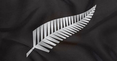 The latest adidas supporters gear. All Blacks Silver Fern - Logo Design - New Zealand | Dave ...