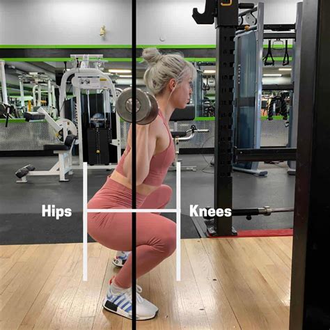 Muscles Used In The Squat Complete Guide