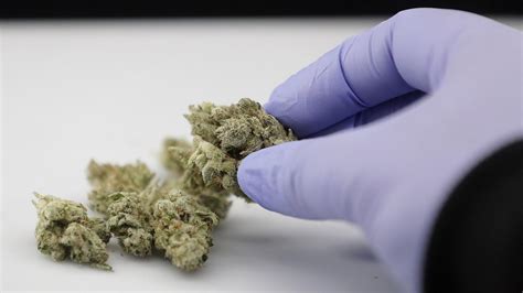 Trulieve dispensary is selling smokable medical marijuana ...
