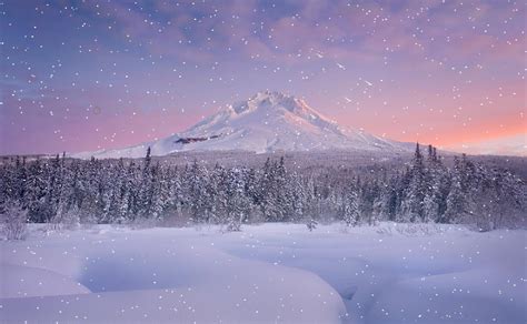 Snow Falling In The Forest Screensaver The Best