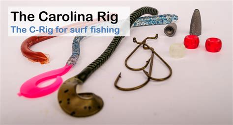 How To Use The Carolina Rig For Surf Fishing Fish From Beach