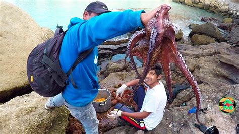 Hombre Pescador Atrapo Un Pulpo Pesca De Pulpo Octopus Youtube