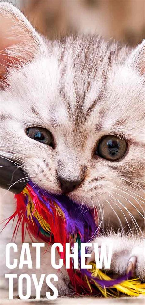 Cat Chew Toys The Top Toys For Cats That Love To Gnaw