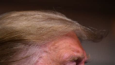 9 Hairstyles Donald Trump Should Try If He Wants To Be Taken Seriously