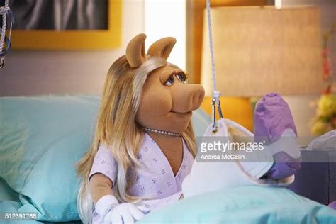 The Muppets Generally Inhospitable When Miss Piggy Breaks Her