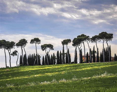Tuscan Landscape Photograph By Marion Mccristall Fine Art America