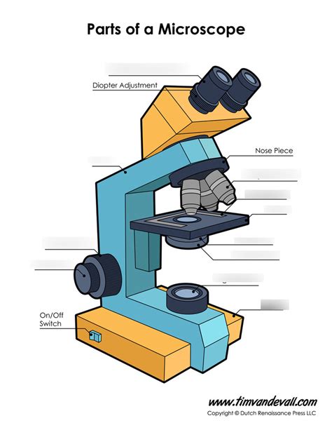The Microscope And Basic Cell Structure Lab 3 Diagram Quizlet