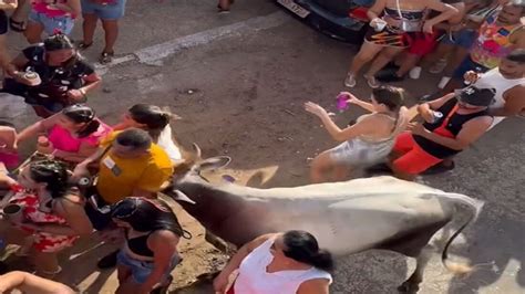 Vaca invade bloco de carnaval em Pendências RN deixando três pessoas