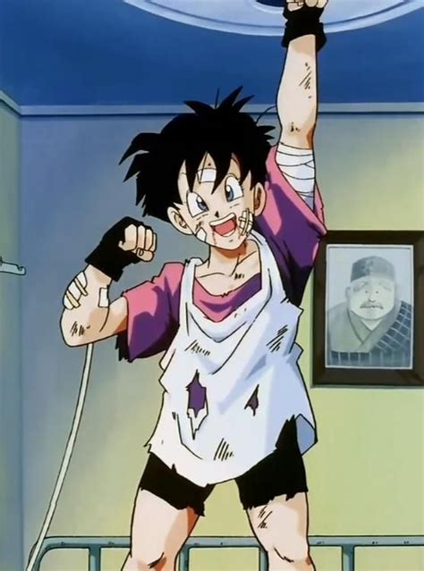 Videl Dragon Ball Z C Toei Animation Funimation And Sony Pictures