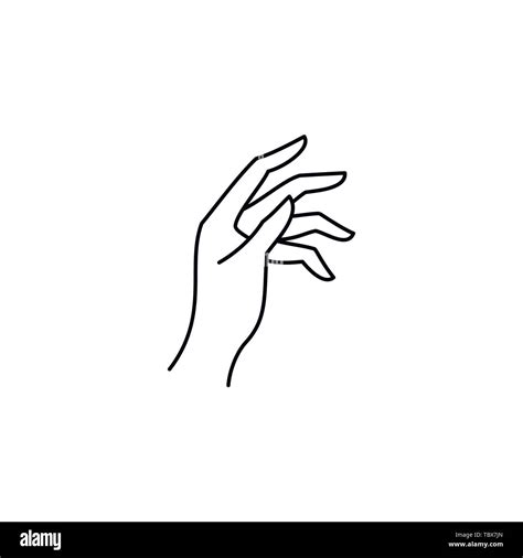 Womans Hand Collection Line Vector Illustration Of Female Hands Of