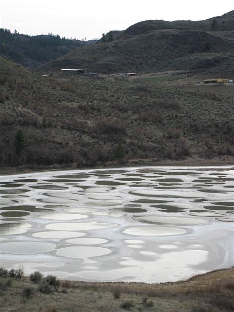 The Spotted Lake Kliluk Osoyoos British Columbia Atlas Obscura