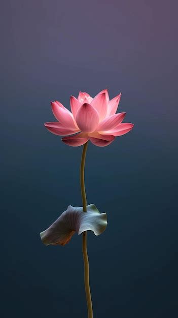 Premium Ai Image Lotus Nelumbo Nucifera Flower Blurred Background Ai