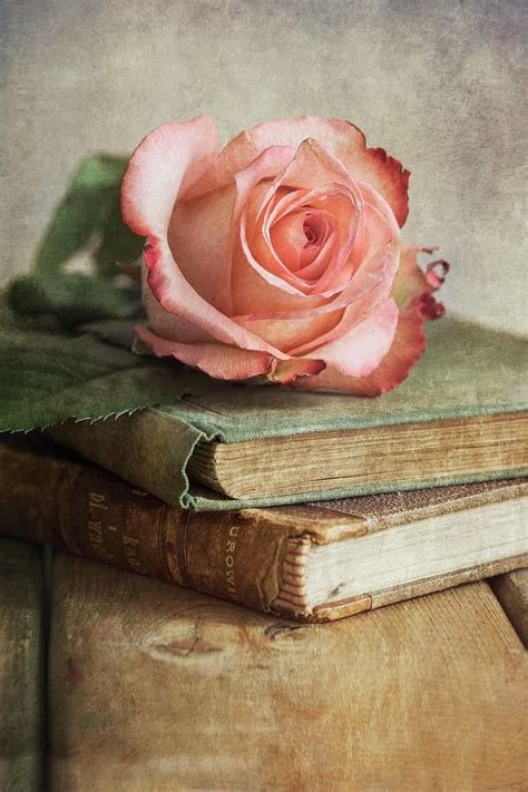 Still Life Photograph Still Life With Pink Rose And Old Books By