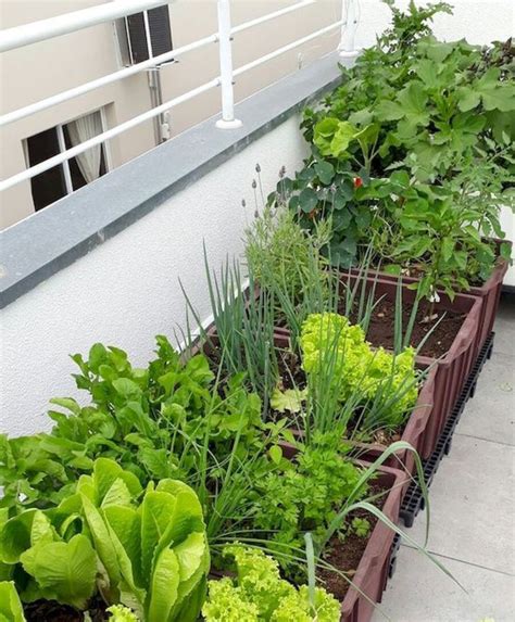 Balcony Vegetable Garden Ideas For Apartments Garden Design Ideas