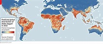 Daily chart - Where yellow fever could spread next | Graphic detail ...