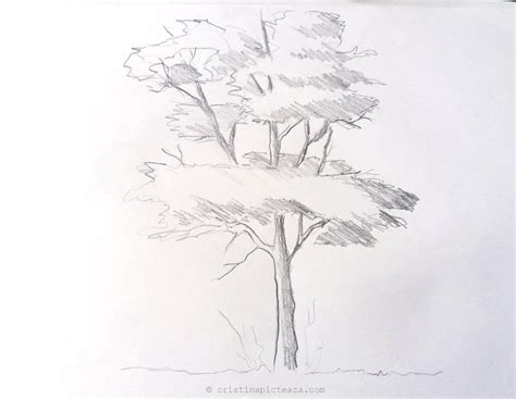 Home › utile › desene de colorat › martisor. Desen In Creion Cu Copac Desene In Creion Cristina Vivi