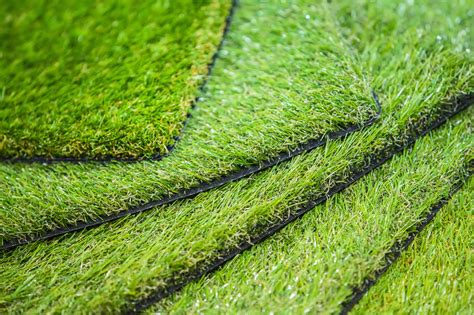 Top Reasons To Choose Synthetic Grass Plants Whitsunday