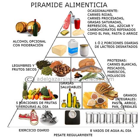 Diferencia Entre Piramide Nutricional Y Plato Del Buen Comer Esta