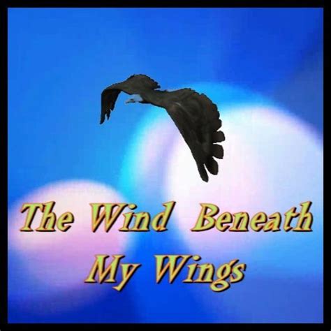 The Wind Beneath My Wings Roger Whittaker Cover Version By Malky
