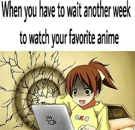 Anime Jokes Anime Amino