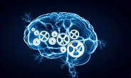 Is intelligence fixed? | Centre for Educational Neuroscience
