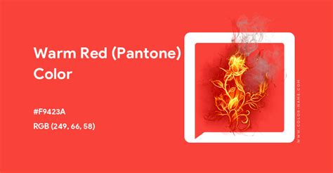 Warm Red Pantone Color Hex Code Is F9423a