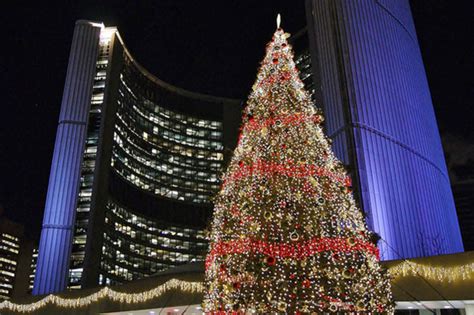 The Story Of The Toronto City Hall Christmas Tree