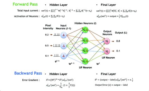 Illustration Of The Forward And Backward Propagation Phase Of The