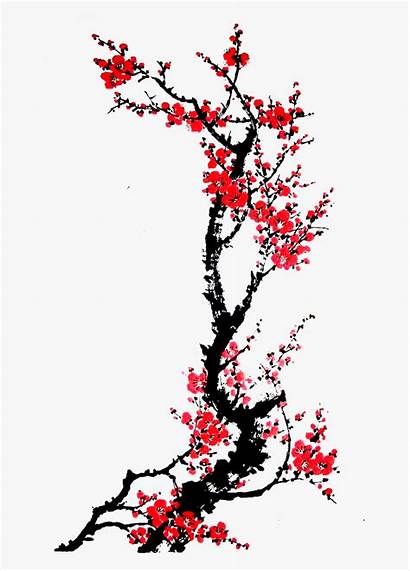 Cherry Tree Blossom Background Ume Transparent Clipart
