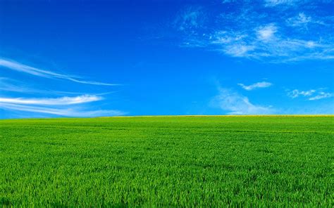 Windows Xp Bliss Wallpaper