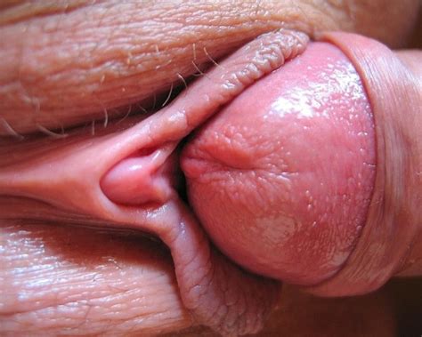 Rubbing Penis Head On Pussy Pics And Galleries