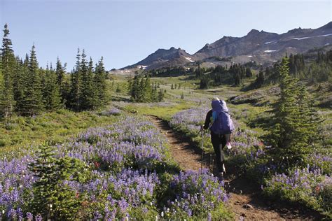 The Wellness Benefits Of The Great Outdoors Us Forest Service
