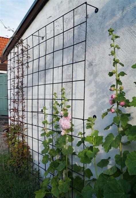 Diy Trellis Ideas For Clematis 20 Awesome Diy Garden Trellis