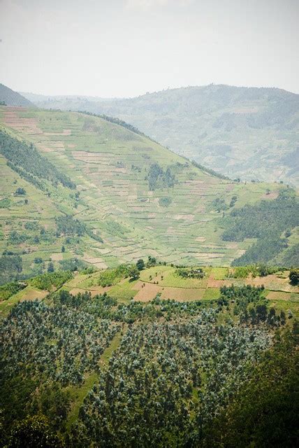To climate proof the rural settlement program of rwanda via ecosystems/ landscape approach piloted in. Rwanda Landscape | Joseph Michael | Flickr