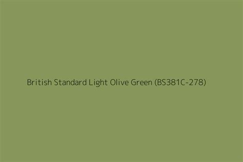 British Standard Light Olive Green Bs381c 278 Color Hex Code