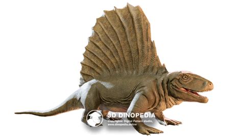 3d Dinopedia Encyclopedia Of Dinosaurs In 3d