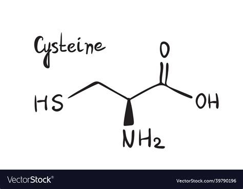 Cysteine Molecule Formula Hand Drawn Imitation Vector Image