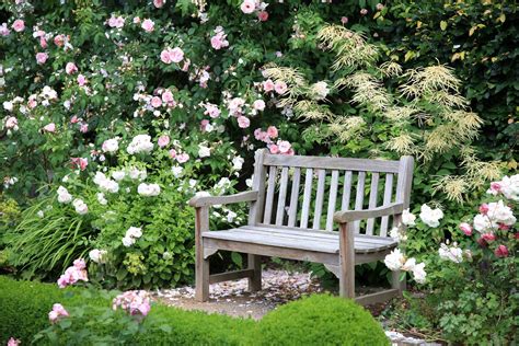 If your english garden design is linked to a family a garden layout, and you have young children. Image result for english garden ideas | Rose garden design ...