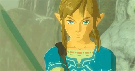Are There Two Different Links In The Breath Of The Wild 2 Trailer