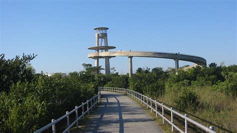 Visitors On The Shark Valley Observation Tower