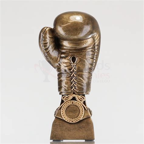 Golden Glove 300mm Boxing Au
