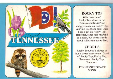 Tennessee State Symbols And State Song Cs6785