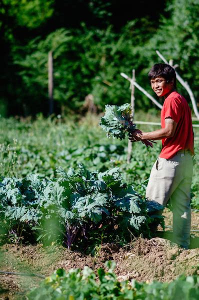 Carolinas Horticultural Therapy Network August Workshop Nc State