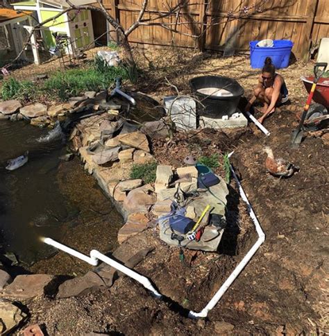 The eight geese and two dogs foul up the goose pond in about 4.5 days during the summer. How to build a backyard pond with a DIY biofilter - Tyrant ...