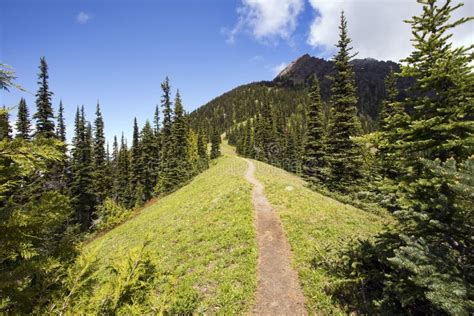 Hiking Trail Heads Up A Steep Mountain Ridge Stock Image Image Of