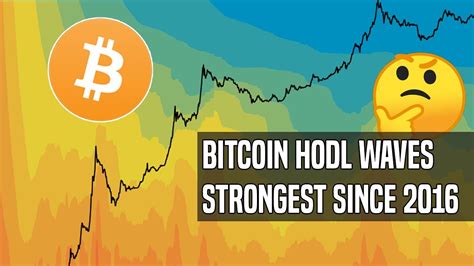 Bitcoin HODL Waves: Bitcoin Hasn't Been This Scarce Since ...