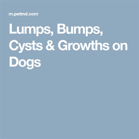 Lumps Bumps Cysts And Growths On Dogs Cysts Dogs Growth