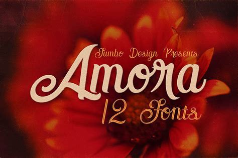 Amora Script By Cruzine Design | TheHungryJPEG.com