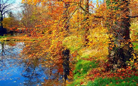 Hd Wallpaper Golden Autumn Fall Leaves Sky Pond Lake Clouds