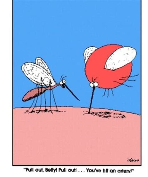 Mosquito Glutton Funny Cartoons Gary Larson Cartoons The Far Side